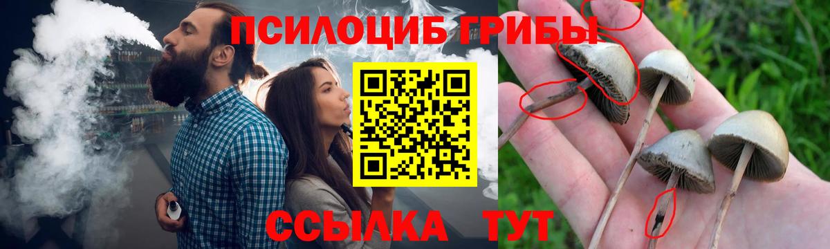 Нижний Тагил  Галлюциногенные грибы мухоморы  Вход с VPN 